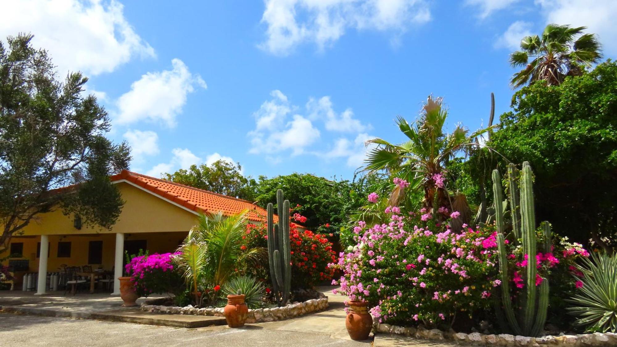 Lagun Blou Resort Curacao Ngoại thất bức ảnh