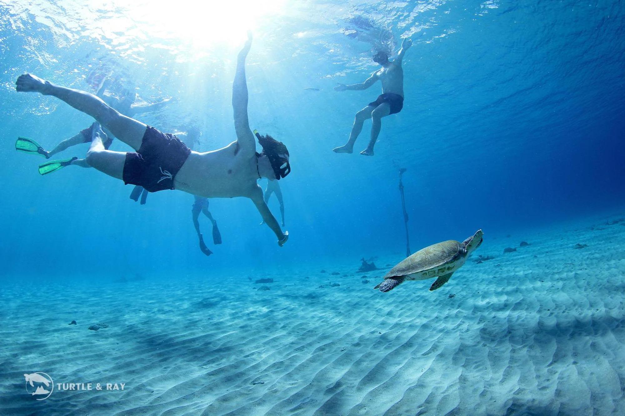 Lagun Blou Resort Curacao Ngoại thất bức ảnh